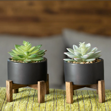 Load image into Gallery viewer, Set of (2) Potted Succulents
