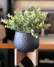 Load image into Gallery viewer, Potted Eucalyptus
