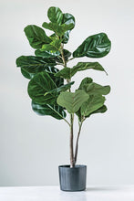 Load image into Gallery viewer, Faux Fiddle Fig Leaf Plant in Pot
